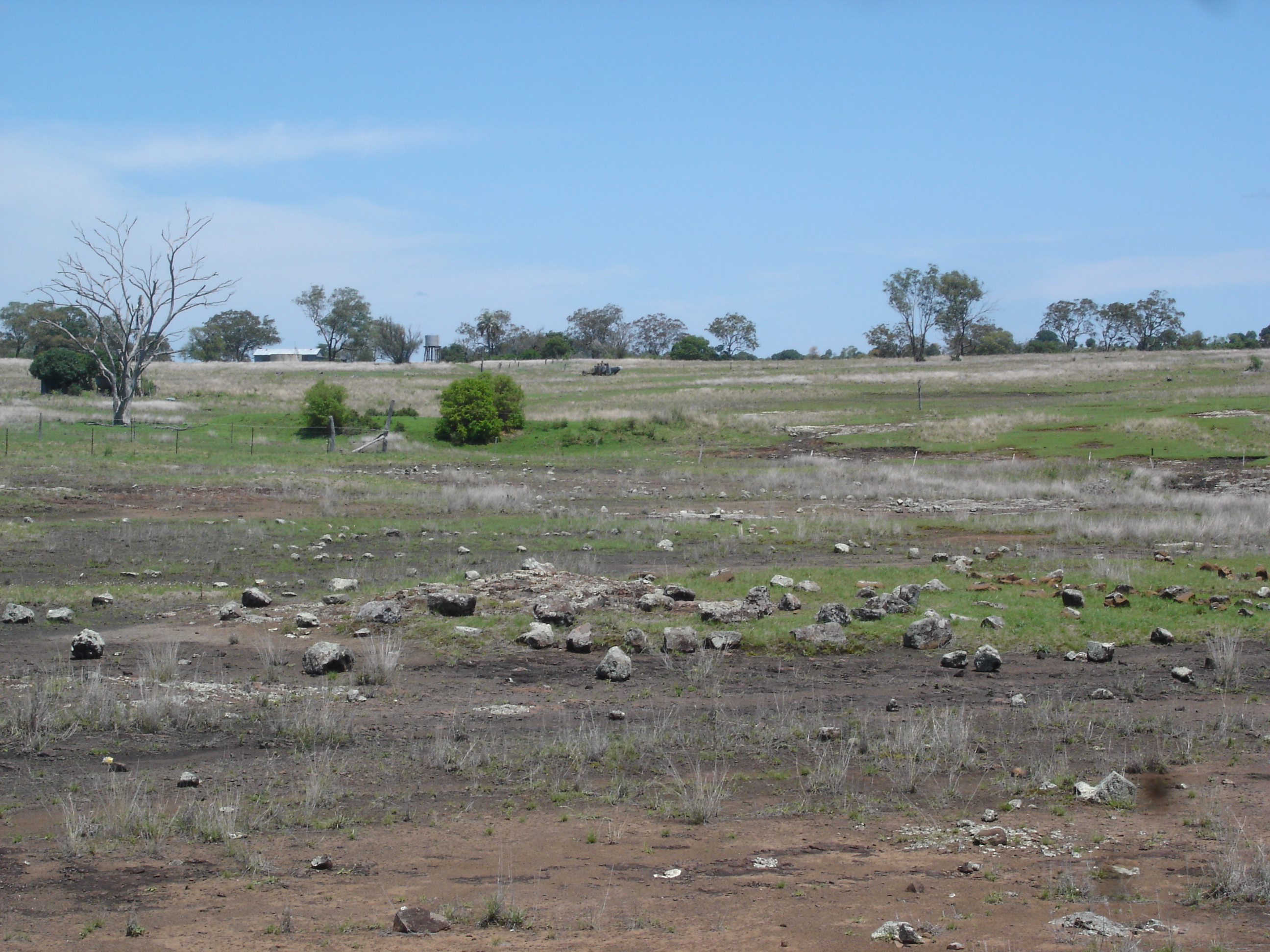 DSC03293 waterhole 2.JPG