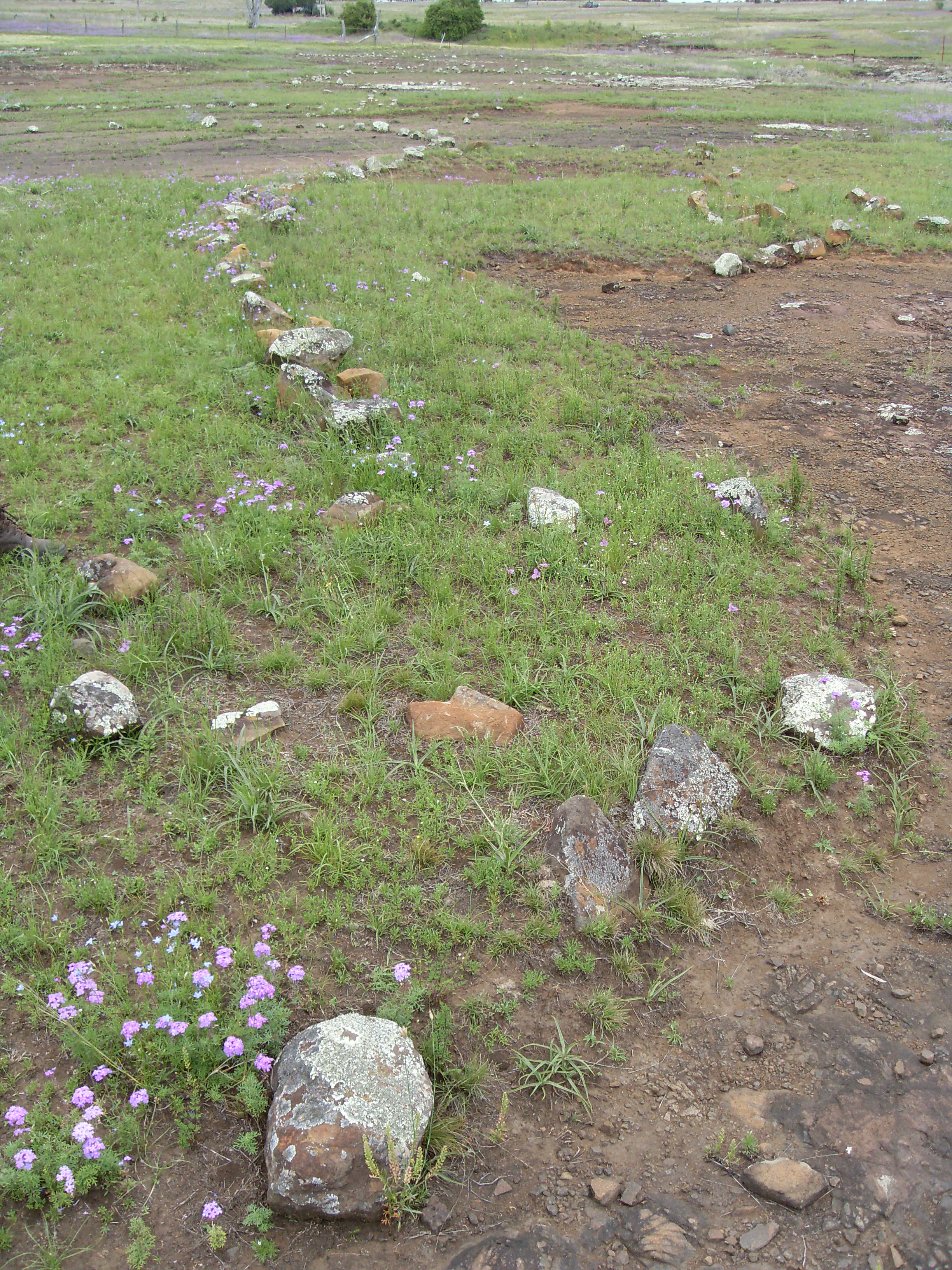Figure 7.1 - Carpet snake stone arrangement.JPG